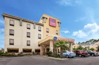 Comfort Suites Golden Isles Gateway Hotels near CBD American Shaman of the Golden Isles