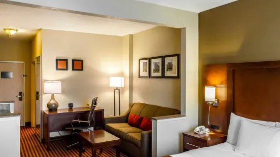 Comfort Suites Raleigh Walnut Creek