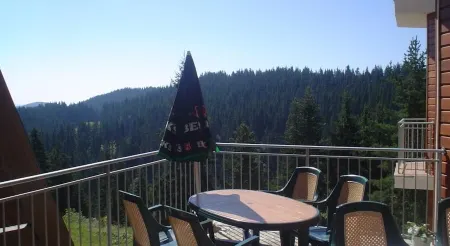 Dafovska Hotel Отели в г. Чепеларе