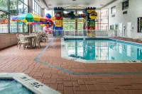 Comfort Inn - piscina