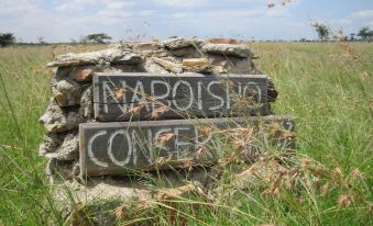 Naboisho Camp - All Inclusive