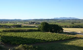 Bed & Breakfast Wine & Cooking Penedes