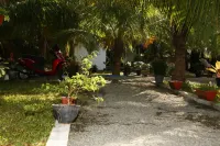 Kite Paradise Resort-Kalpitiya Hotels in Kudawa