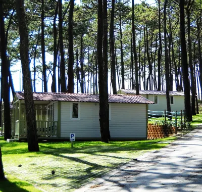 Parque de Campismo Orbitur Valado Các khách sạn ở Nazare