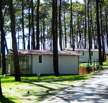 Parque de Campismo Orbitur Valado Hotels in Nazare