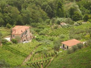 Agriturismo la Collina Verde