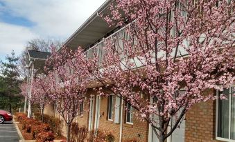 Affordable Corporate Suites Christiansburg - Housity
