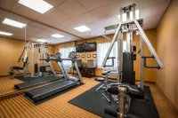 Comfort Inn & Suites Augusta Fort Eisenhower Area - Spor Salonu