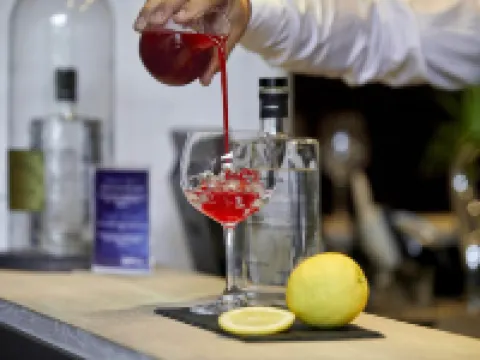 Radisson Hotel Papirfabrikken Silkeborg Hotels in Silkeborg