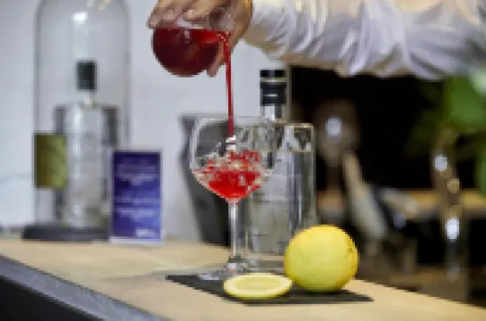 Radisson Hotel Papirfabrikken Silkeborg