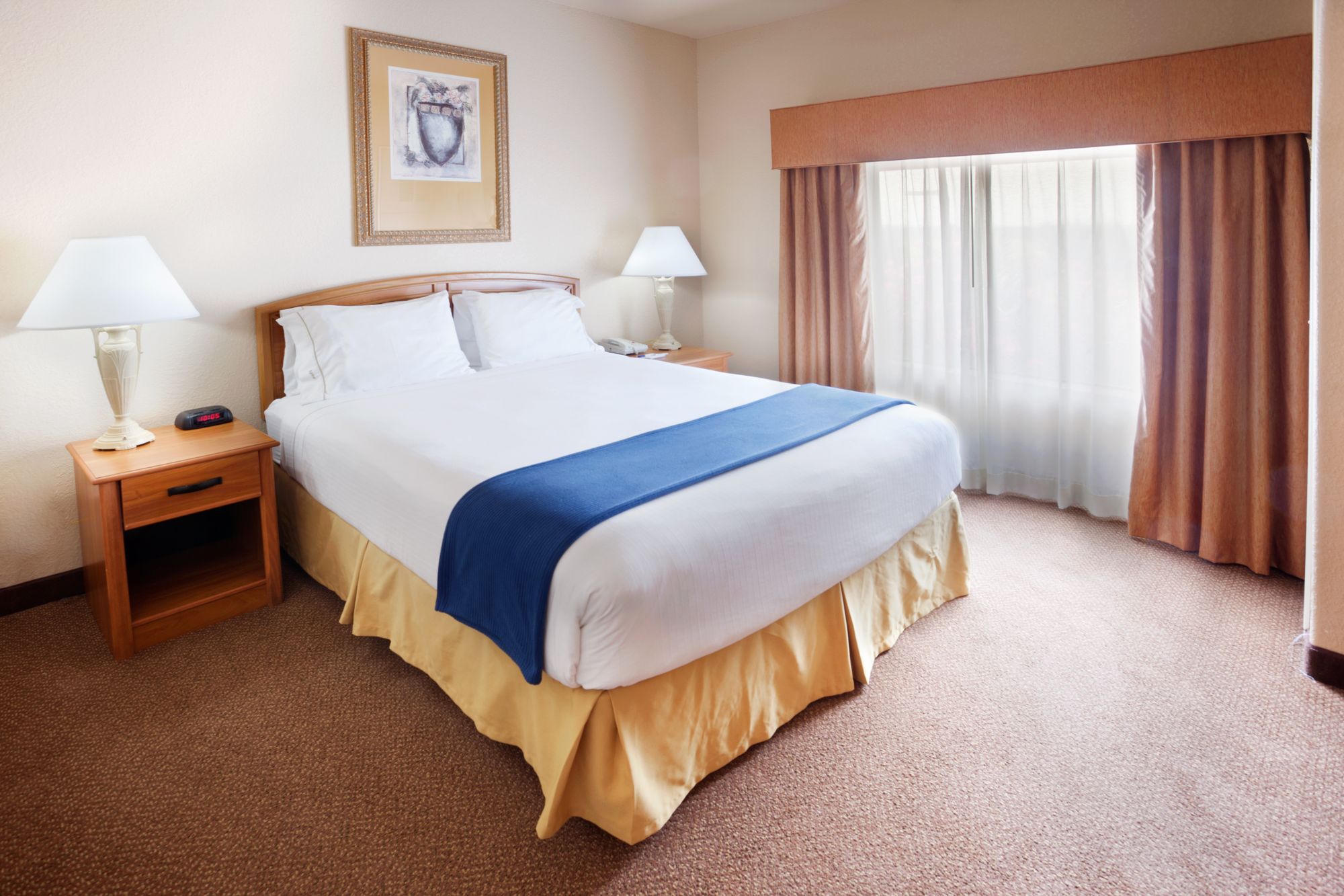 Holiday Inn Express Hotel & Suites Mission-McAllen Area, an Ihg Hotel