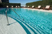 Hilton Buenos Aires - Luxury