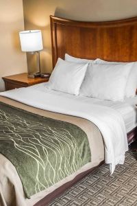 hotels in downtown bradford pa
