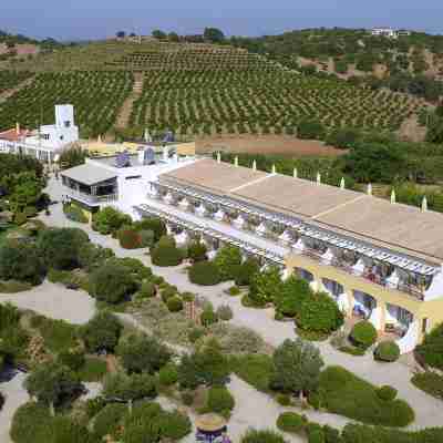 Hotel Rural Quinta do Marco - Nature & Dining Hotel Exterior