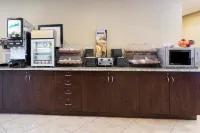 Microtel Inn & Suites by Wyndham Macon