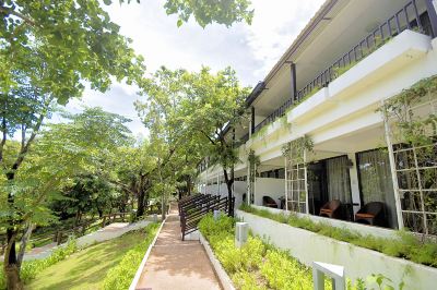 庭 クラブ パラダイス リゾート パラワンの写真