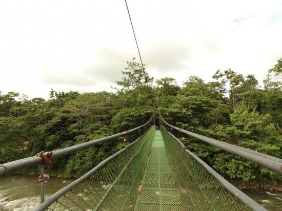 Tirimbina Rainforest Lodge Sarapiqui 2021 Room Price Deals Review Trip Com