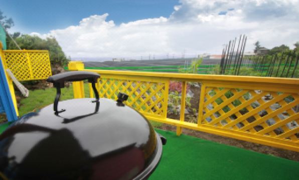 2. 제주 해바라기 ..