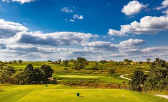 a lush green golf course surrounded by trees and grass , with a blue sky above at Honey Creek Resort