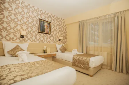 Family Hotel Saint George Отели в г. София