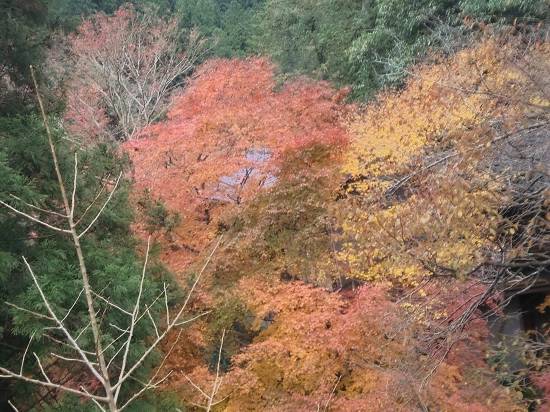民宿 雲仙屋 奥多摩 宿泊予約 安い料金プラン 口コミ 部屋写真 Trip Com 民宿 雲仙屋 奥多摩 宿泊予約 安い料金プラン 口コミ 部屋写真 Trip Com