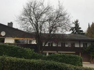 Apartments in Leafy Suburb