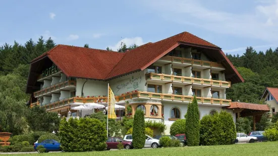 Schwarzwald Hotel Silberkoenig