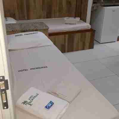 Hotel Palmeiras Ltda Fitness & Recreational Facilities