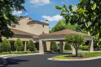 Courtyard Williamsburg Busch Gardens Area