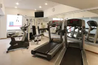 Fiesta Inn Tlalnepantla - Gym