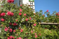 Hotel Garni Niedernhausen Hotels in Idstein