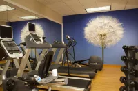 亞特蘭大比福德 - 格魯吉亞州購物中心 SpringHill Suites 酒店 - 健身室/gym room
