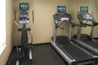 Sonesta Simply Suites Detroit Novi - Fitnessstudio