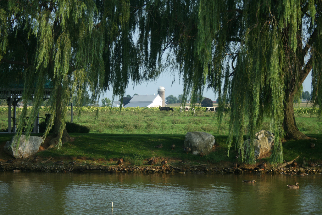 Fulton Steamboat Inn