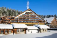 Hotel Etrier Hotels in Ayent