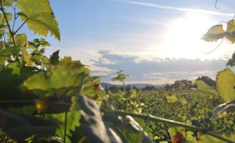 Clos St Eloi, the Originals Relais (Relais du Silence)