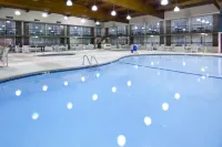 Holiday Inn ALEXANDRIA by IHG