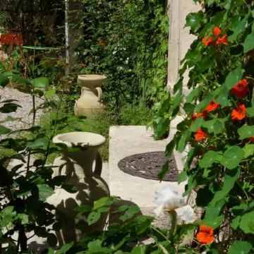 Cocooning Avignon