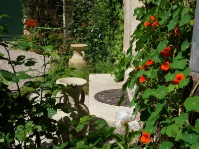 Cocooning Avignon