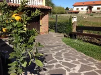 Trisileja en Puente Romano