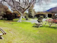 Cosy Cottage Thermal Holiday Park Hotels near Ohinemutu