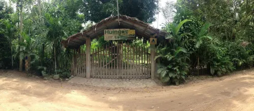 Huingos Eco Lodge - Balkoner