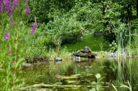 Felbermayer Hotel & AlpineSpa-Montafon Hotels in Gaschurn