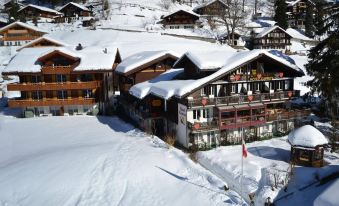 Hotel Caprice - Grindelwald