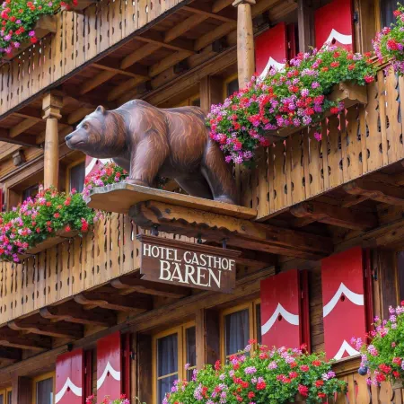 Hotel Bären