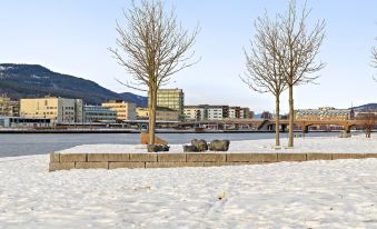 Apartment on Bragernes Strand