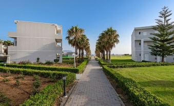 Delfina Tropic Beach