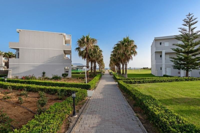 Delfina Tropic Beach