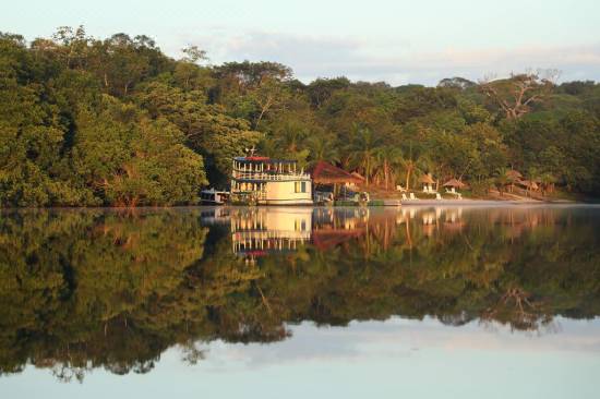 アマゾン エコパーク ジャングル ロッジ マナウス を宿泊予約 22年安い料金プラン 口コミ 部屋写真 Trip Com