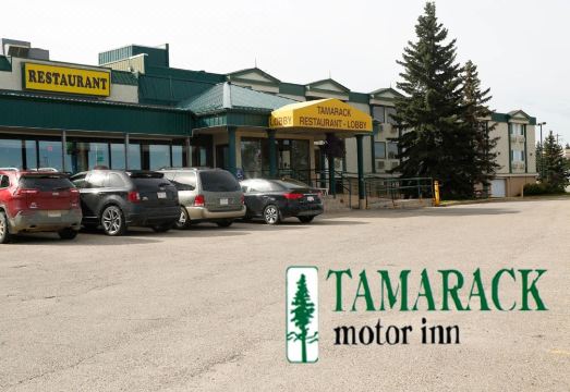 타마락 모터 인